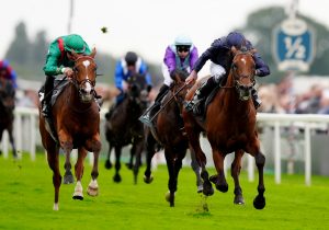 horse race
