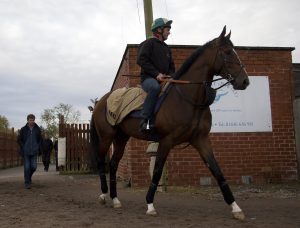horse racing