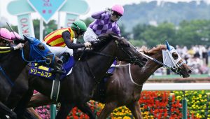 Japan horse racing