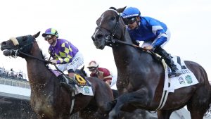 Belmont Stakes horse race