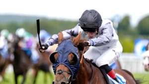 Stweards Cup race