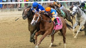horses racing