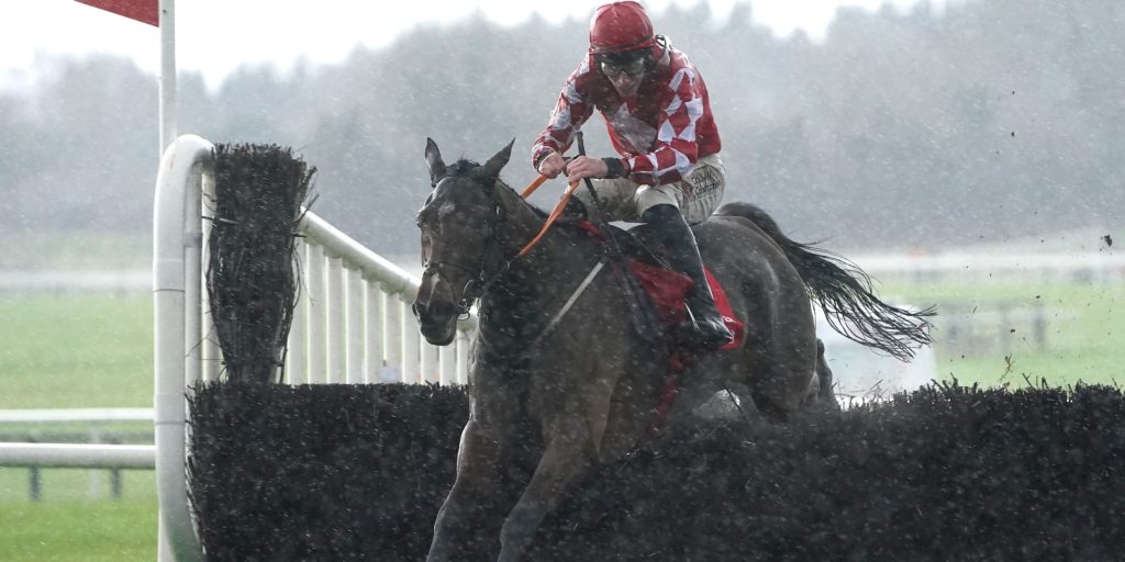 Mighty Potter delivers impressive Drinmore success Racing365