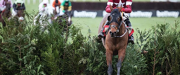 Cheltenham Festival Odds - Latest Cheltenham Odds 2021 | Racing Post
