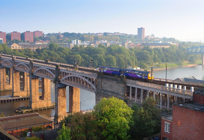 Are you considering launching or scaling a business in the Toon?