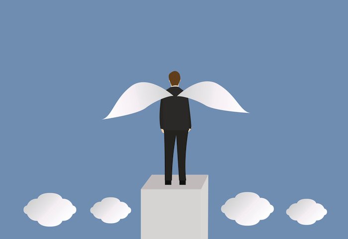 What makes angel investors invest?