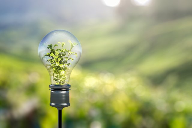 SMEs sustainability