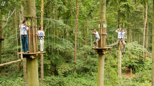 Go Ape with team building activities