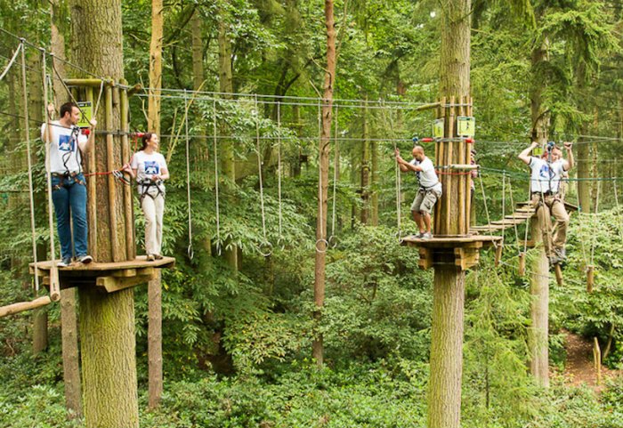 Check out these awesome team building activities