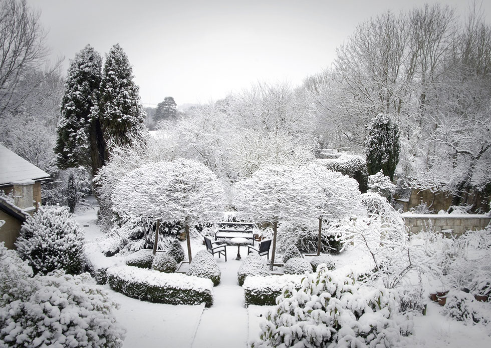 garden-snow