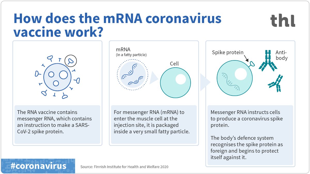 Come funzionano i vaccini a mRNA? | SciShow