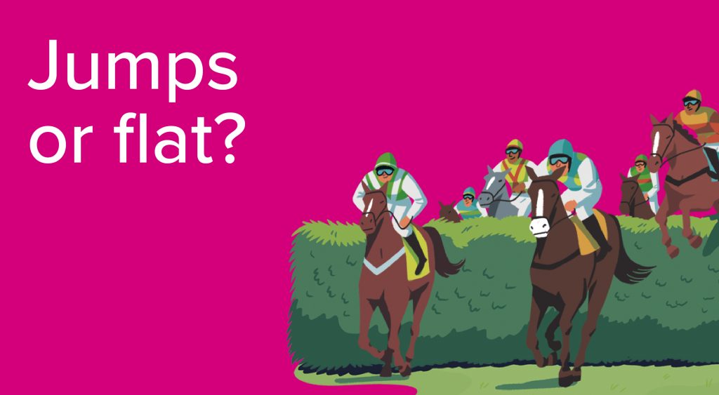 Horse Racing Terms Guide to Horse Racing