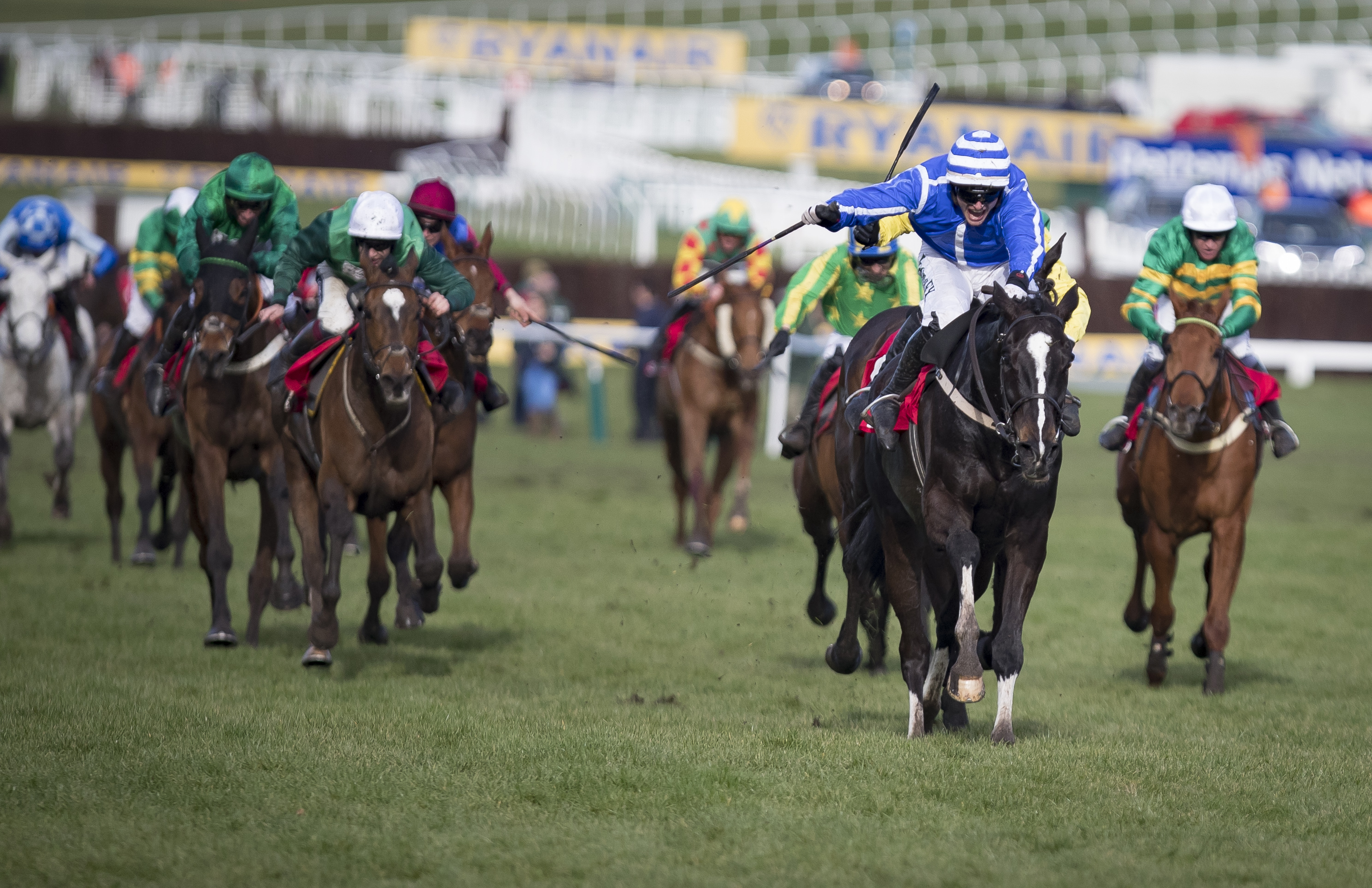 Stayers' Hurdle Guide to Horse Racing