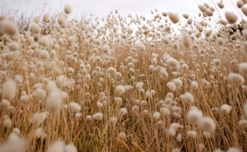 Why fashion needs to slow down | Sassi Holford Sustainable Designer Brand