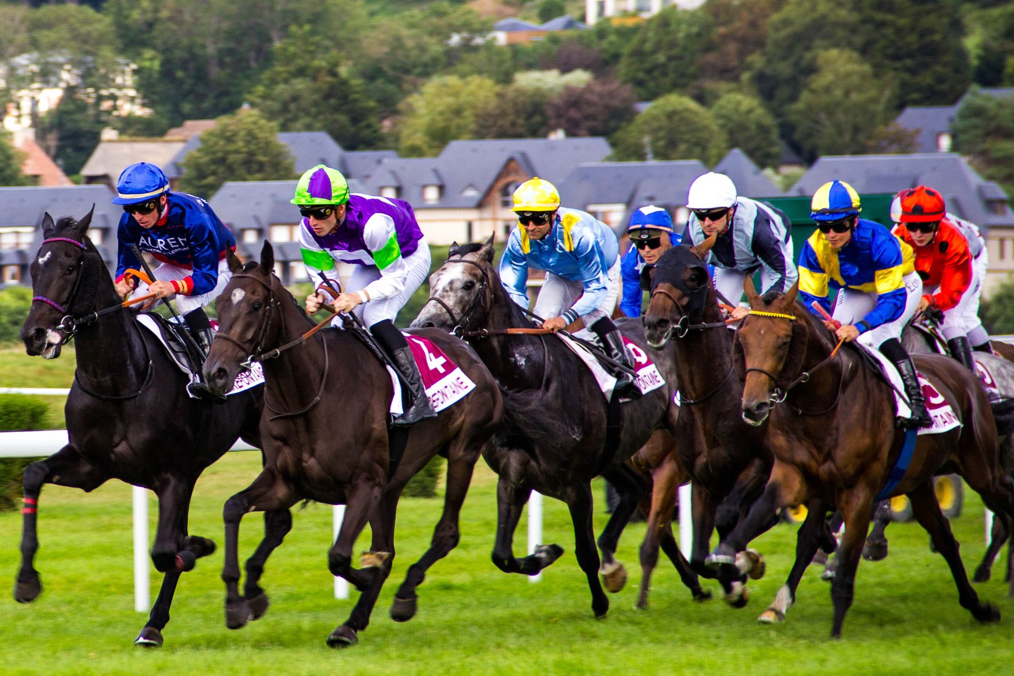 2019 Ladbrokes Trophy Day: best hospitality packages