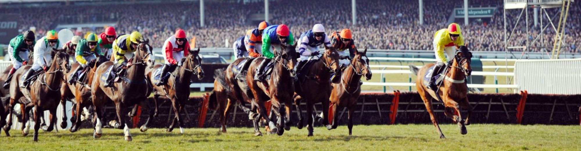 Cheltenham Festival Ladies Day 2022: best VIP hospitality packages
