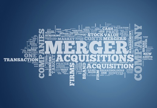 Word Cloud "Merger & Acquisitions"