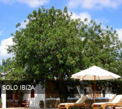 Hotel Rural Sa Vinya d'en Ppalerm