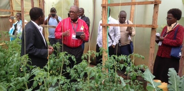 Hydroponics Africa
