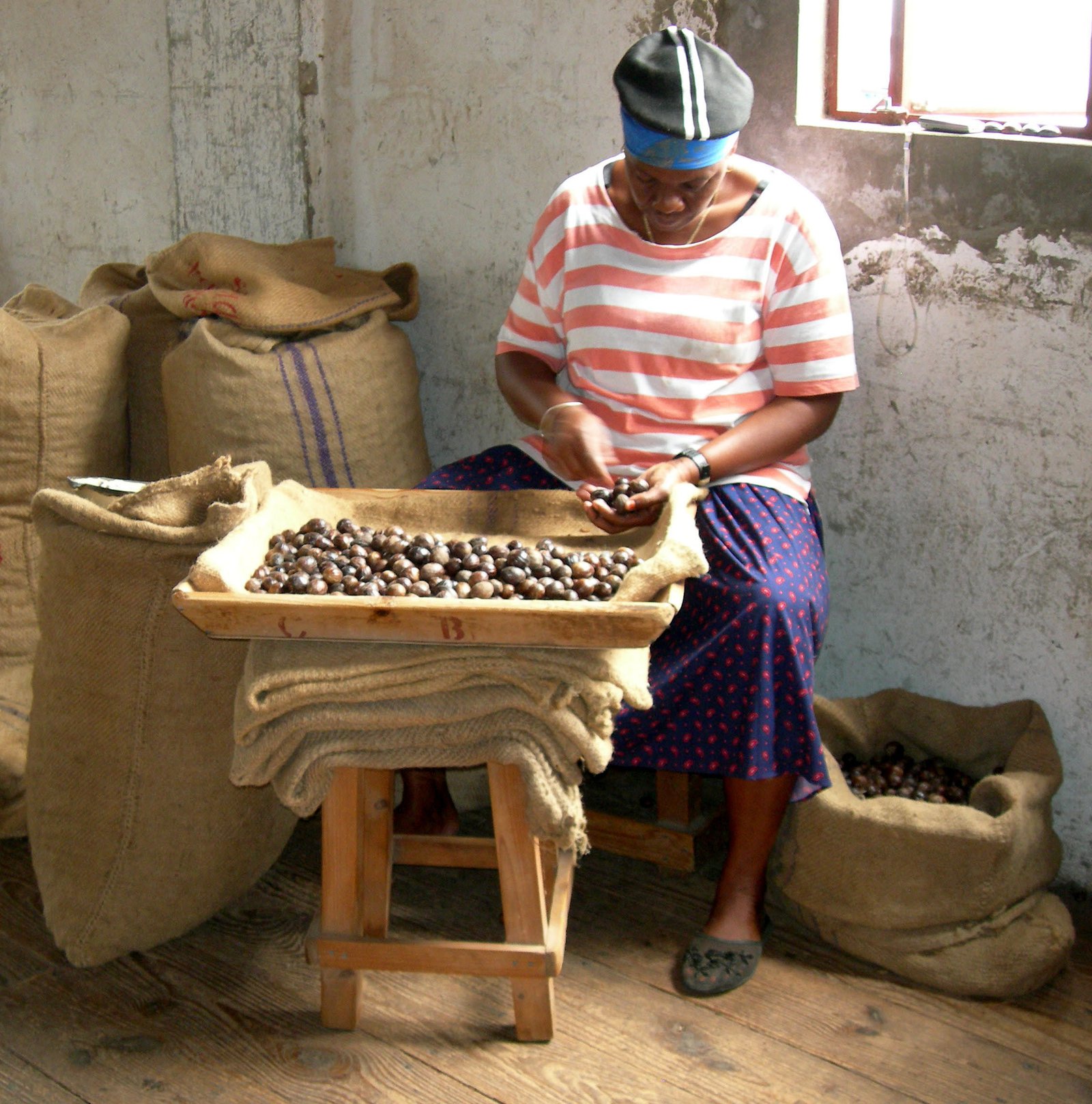 Sorting Nutmeg