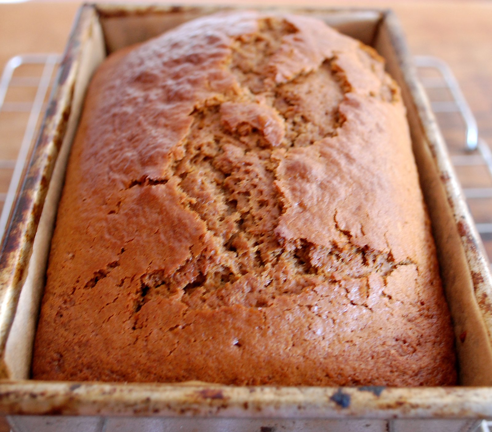 Homemade Gingerbread Cooling Down