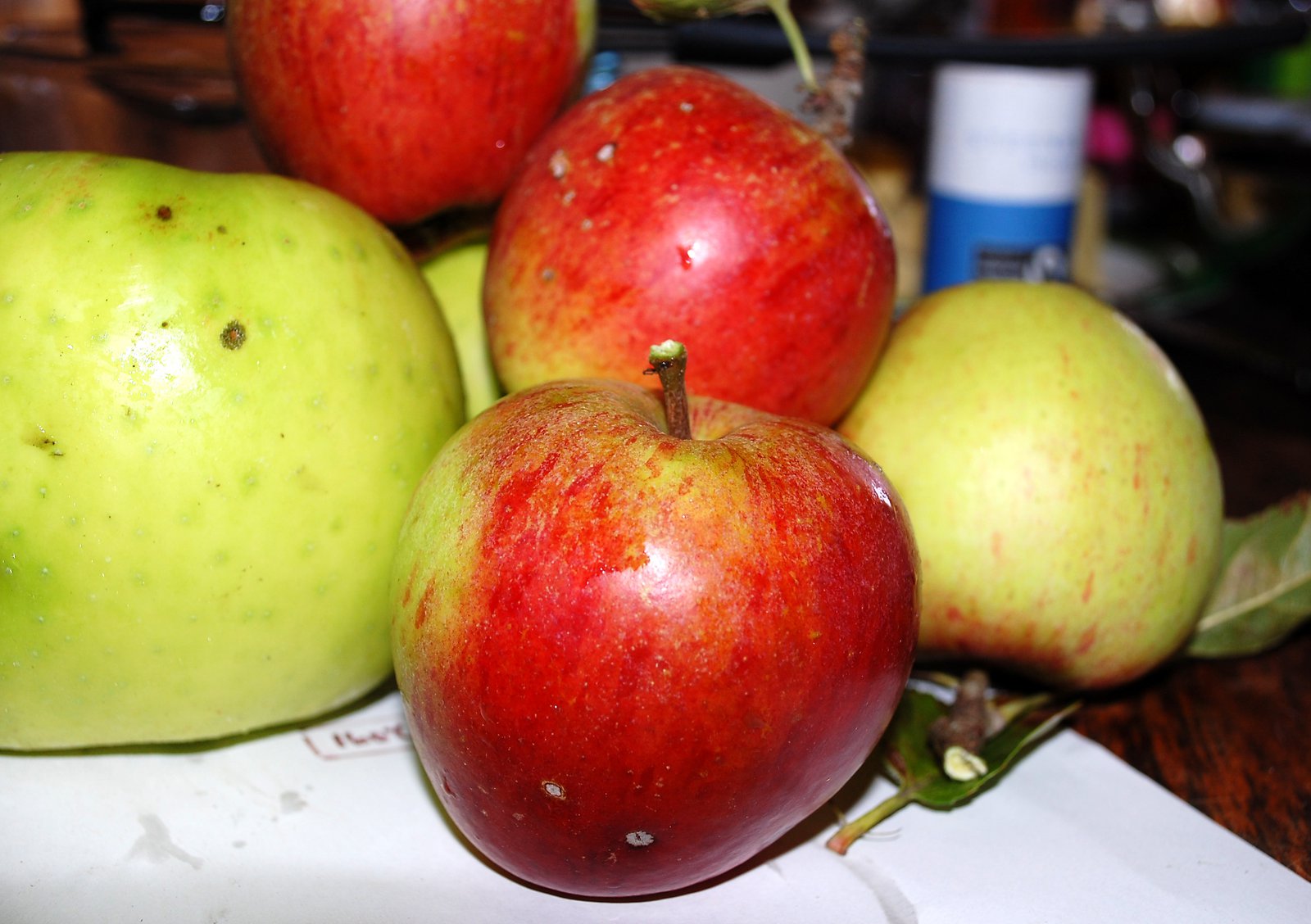 Windfall Apples From The Garden