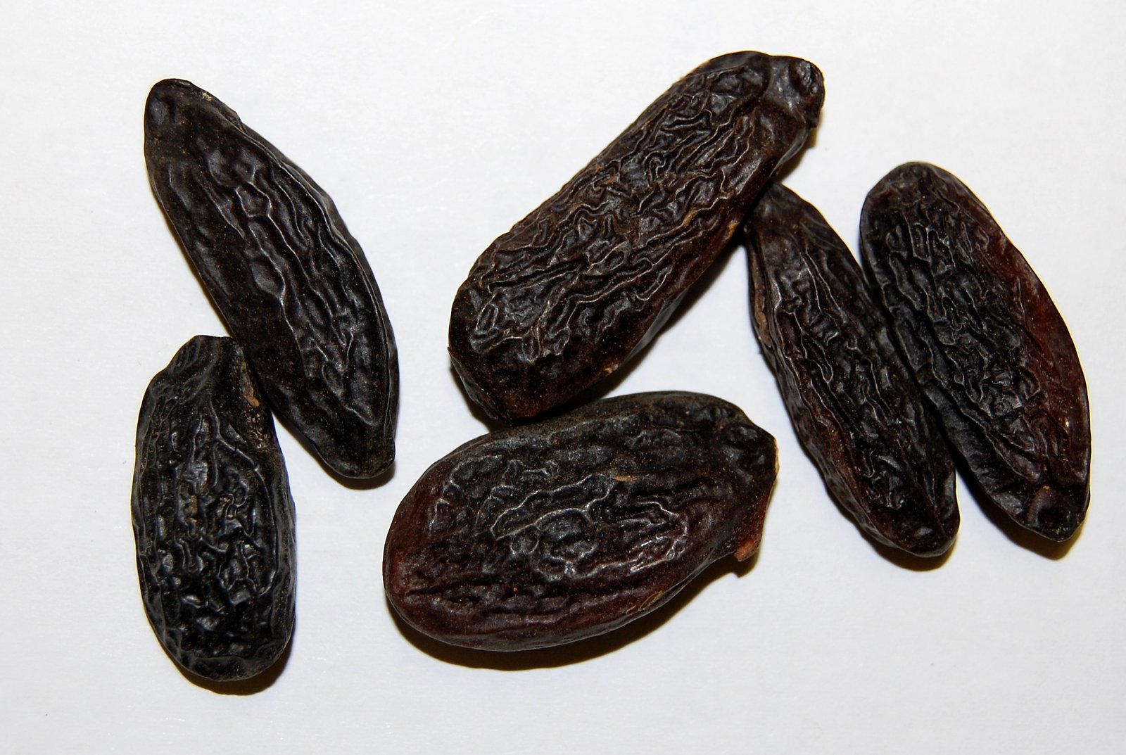 Tonka beans