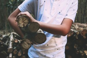 timber specialists