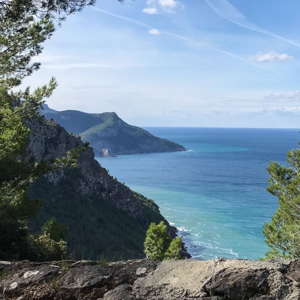 the road to port de valldemossa