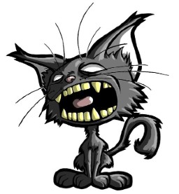 Catalina Radu avatar