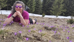 Cristina Brasoveanu avatar