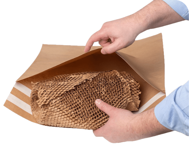 Innovation in Protective Packaging What to expect in 2025