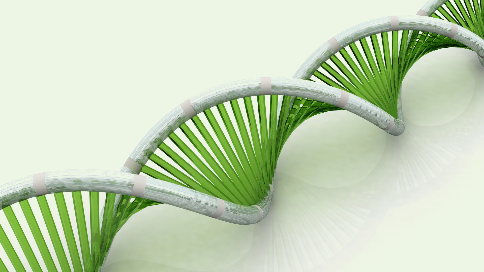Hepatitis C DNA vaccine injector