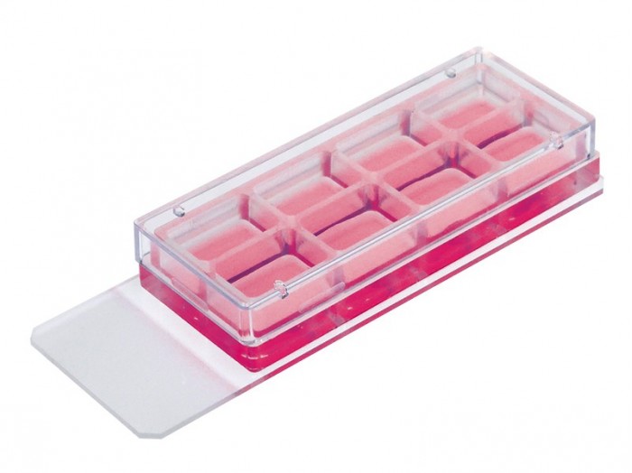 8 Well Chamber, removable Thistle Scientific