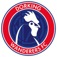 Dorking Wanderers Logo