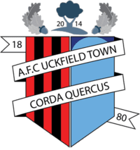 AFC Uckfield Town Logo
