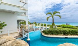 Old Trees 3 Sundance