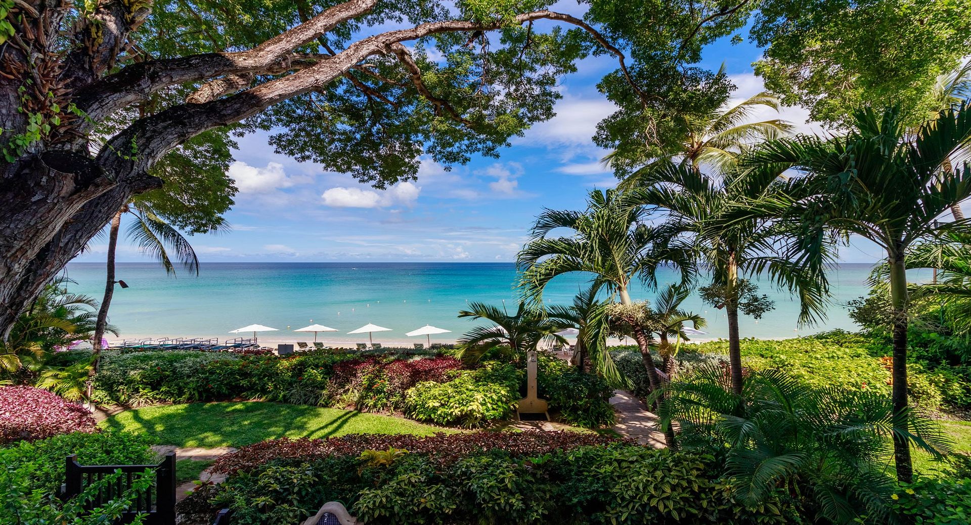 Coral Cove