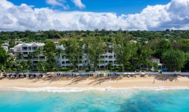 Old Trees Sea Breeze