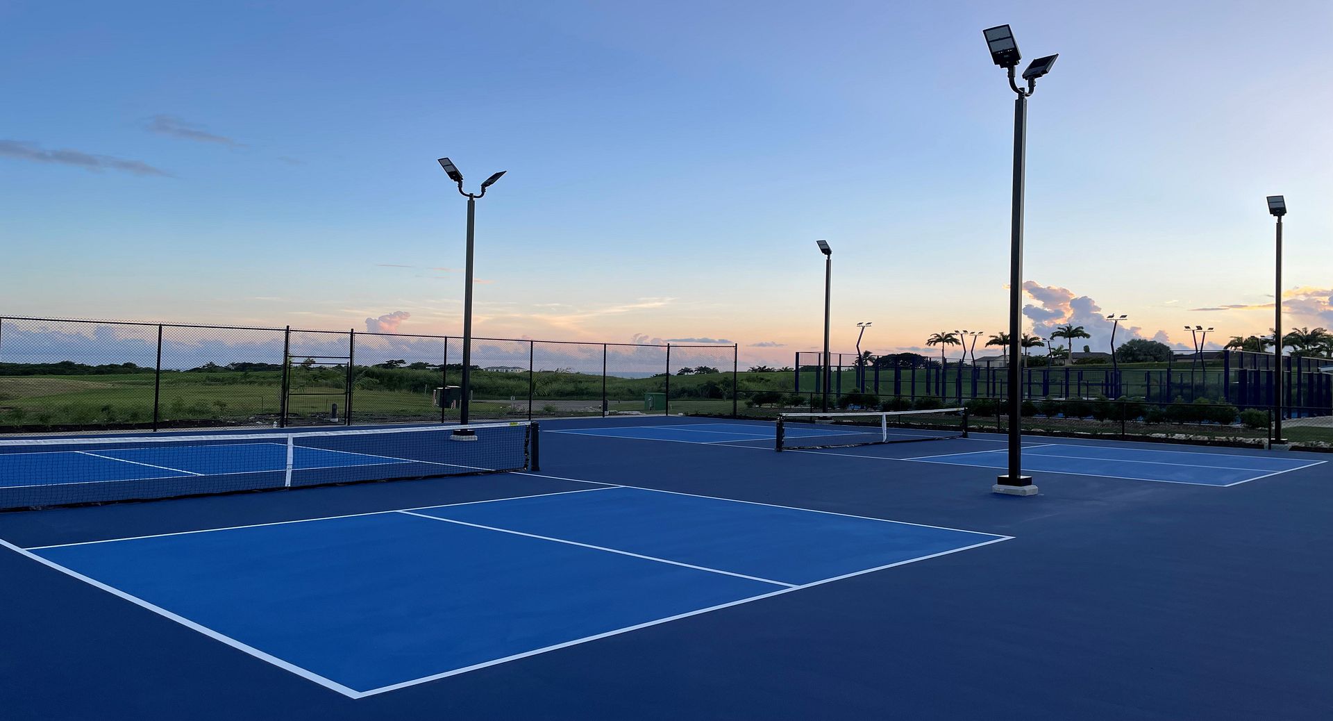 Pickle and Padel Tennis