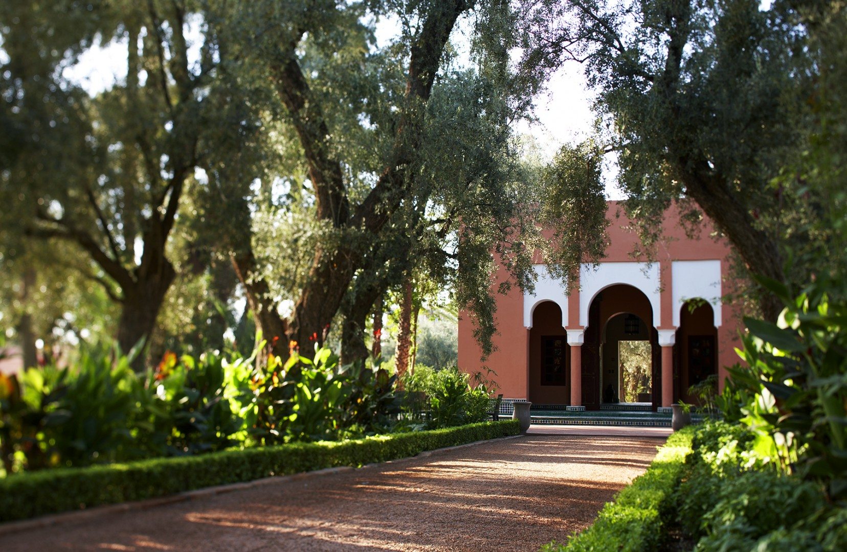 Mamounia Garden Bar Menzeh