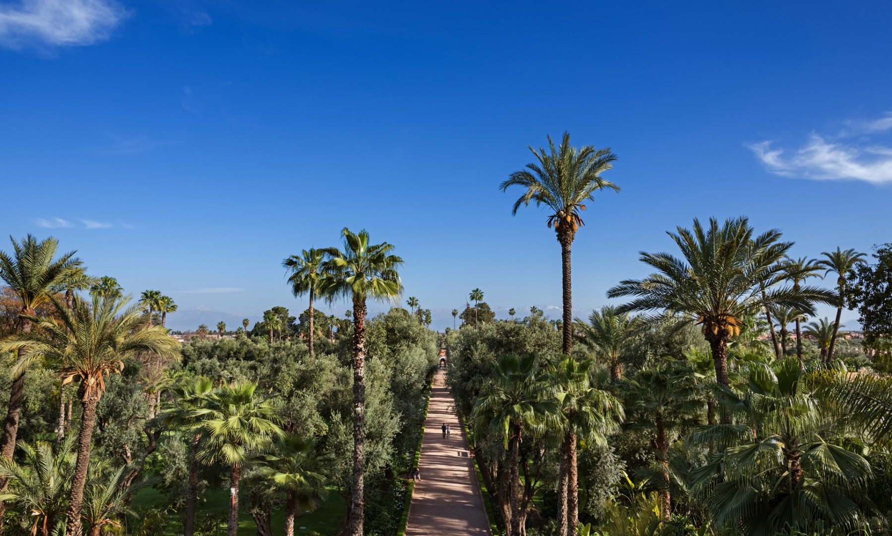 La Mamounia Gardens courtesy of La Mamounia