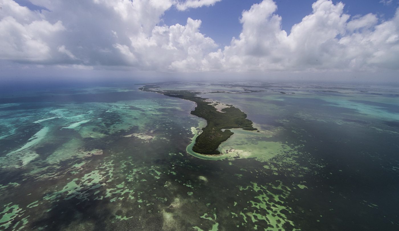 Punta Pajaros Island