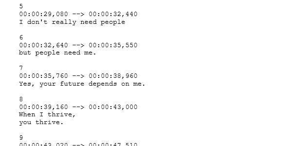Picture of an SRT file