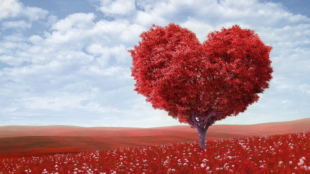Why Inbound - Something they love