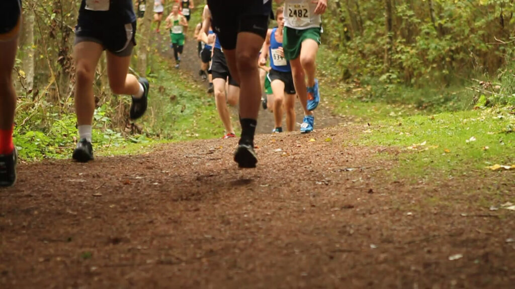 Cross country XC stock photo