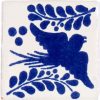 paloma blue