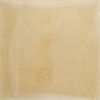 artichoke hand made mexican encaustic tile