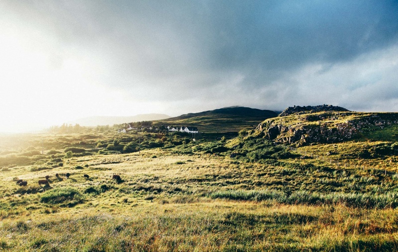 A Field In Scotland