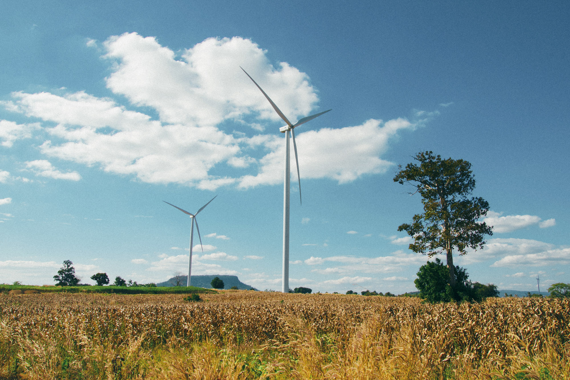 How we're securing a green recovery for Scotland — Scottish National Party - Vimarsana News